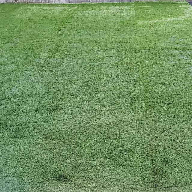 木更津市 H様邸：新築の庭も不安なく完了